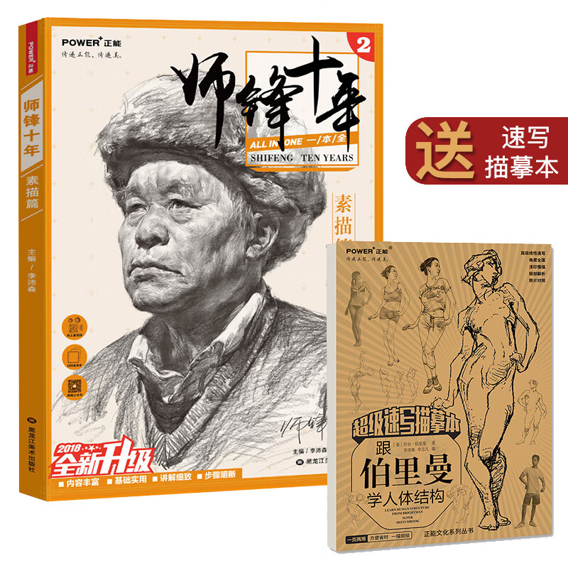 师锋十年素描头像篇半身像零基础入门临摹结构颜色局部名师讲解详细