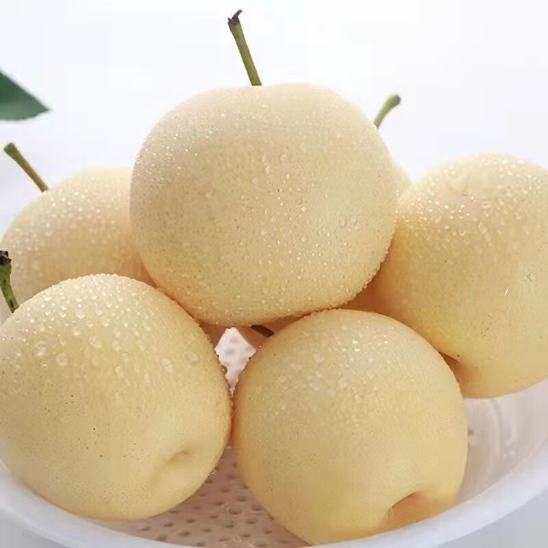 果迎鲜梨 河北皇冠梨 梨子 脆梨 新鲜水果 生鲜 净果4.5斤