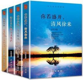 万丈光芒的梦想 全四册 郭婷主编 红旗出版社