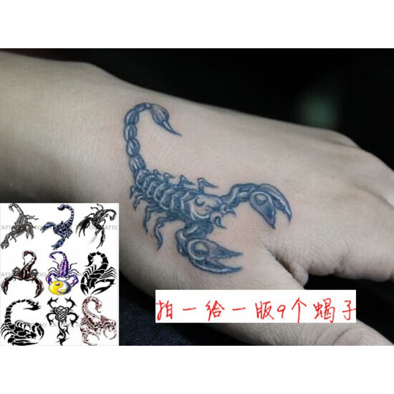 云翔四海蝎子图腾纹身贴纸男女款手臂虎口贴画持久防水仿真假刺青锁骨