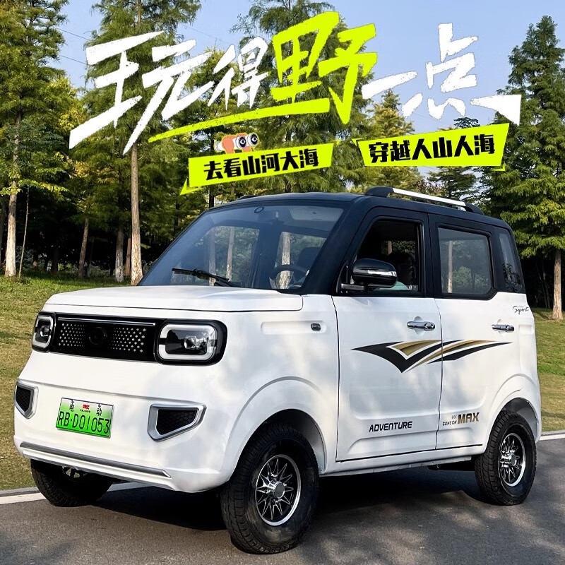 迈迪纯新款电动四轮车家用成人女士四座全封闭篷车 油电两用新能源