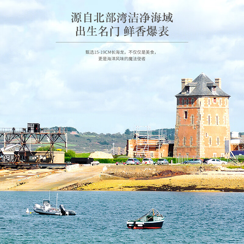 福东海 六角海龙18g 干货大刁原材料煲汤食材 礼盒端午节礼物泡酒药材料