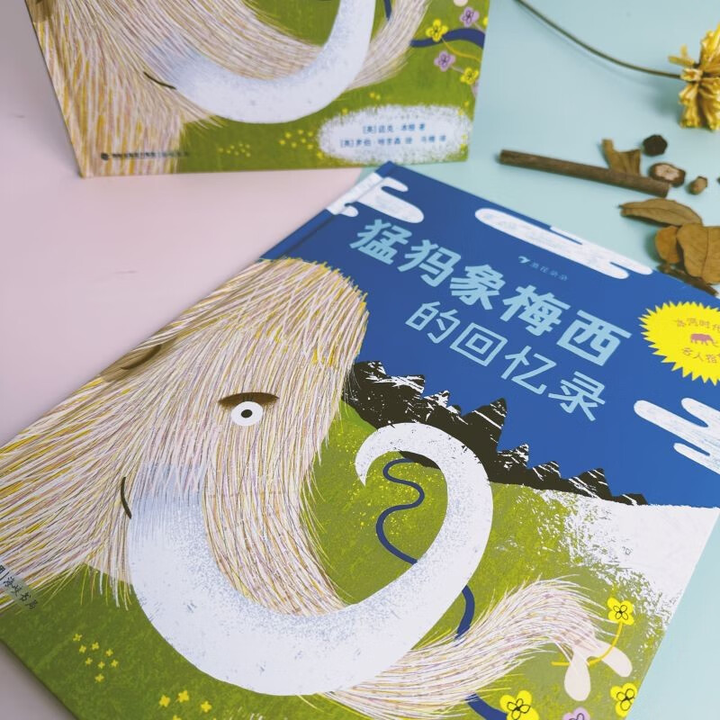 猛犸象梅西的回忆录详情图