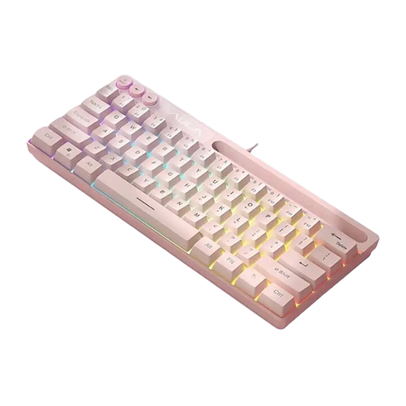狼蛛鍵盤 鍵盤鼠標(biāo)套裝有線 機械手感薄膜鍵盤有線mini面板RGB背光臺式電腦筆記本電競游戲辦公通用 【狼蛛】粉色RGB燈效 有線連接 61鍵