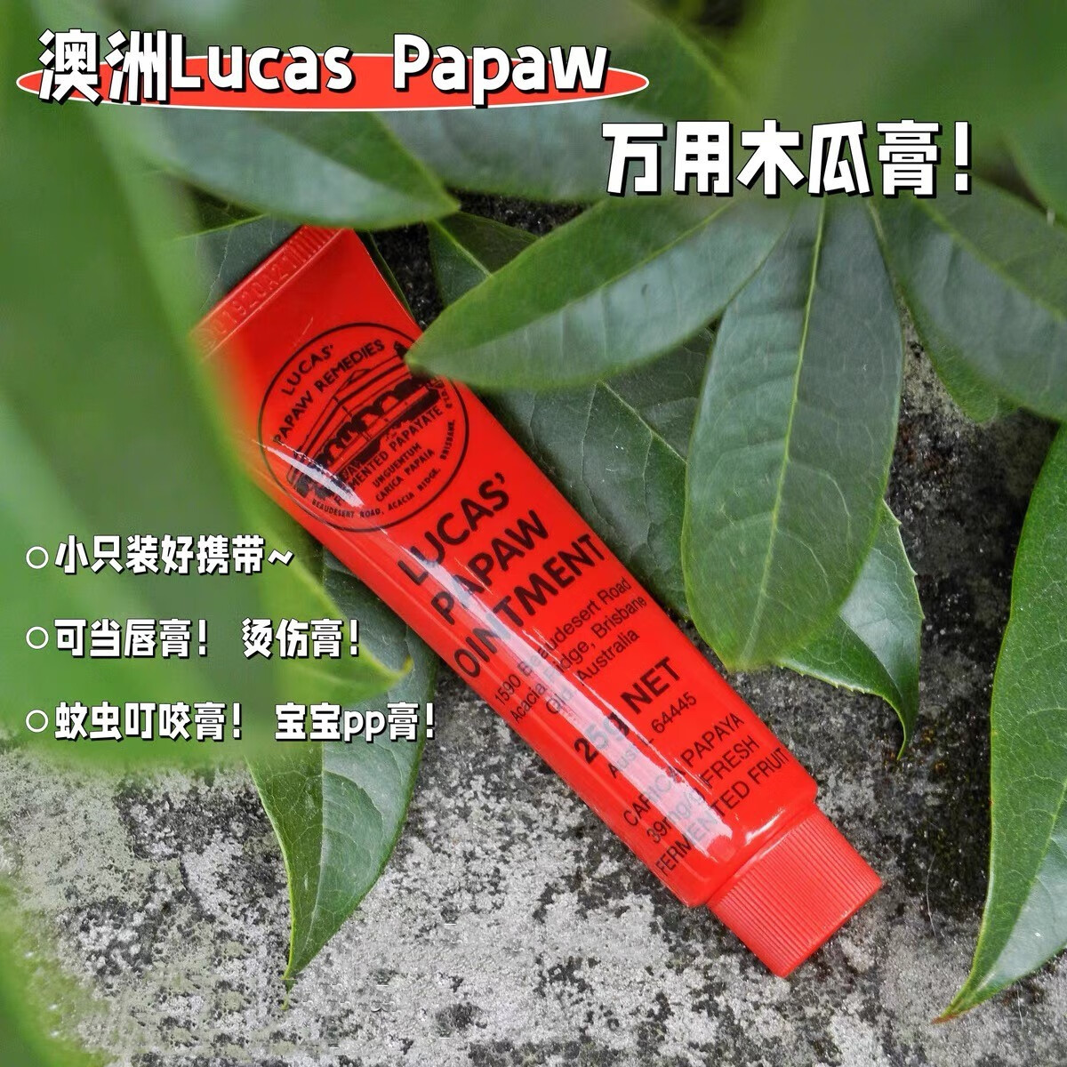 番木瓜膏润唇膏补水25g婴儿孕妇滋润唇膜唇膏75g罐 澳洲木瓜膏1支25g