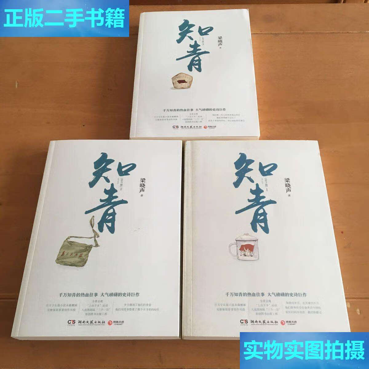 【二手9成新】知青(梁晓声经典文学作品全3册) /梁晓声 湖南文艺