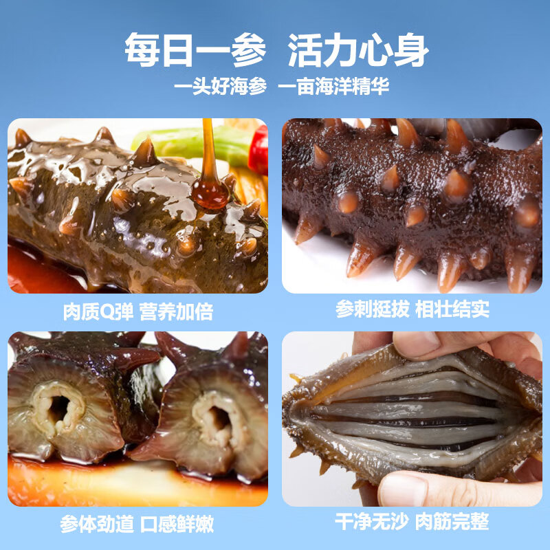 海纳堂即食海参90只独立包装开袋即食刺参礼盒鲜食冷蒸深海底播海参单只 9年参龄1斤4-6只【参王滋补】