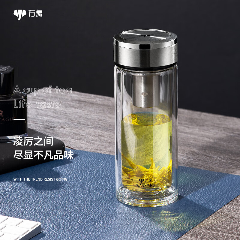 万象（WANXIANG）双层玻璃杯大容量高颜值简约商务泡茶杯带盖高硼硅玻璃杯车载便携 V49L-钛银色 410ml