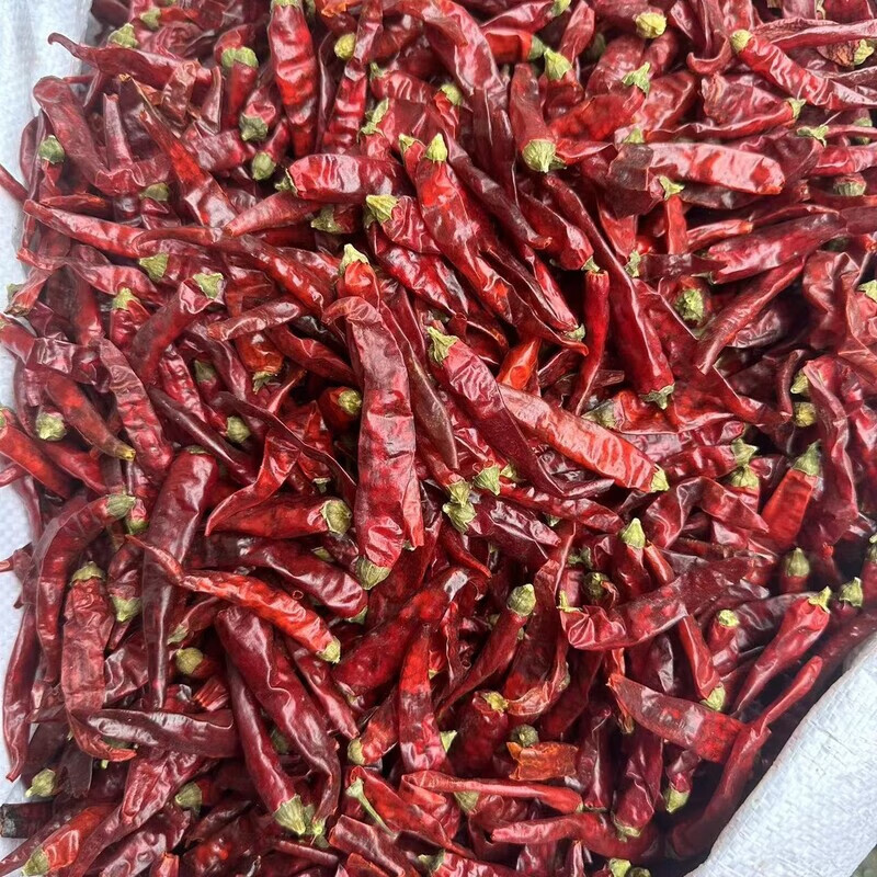贵州遵义特产农家干辣椒干帽椒去帽椒辣火锅底料调味品新辣椒 微辣特香灯笼椒 500g 【1斤装】