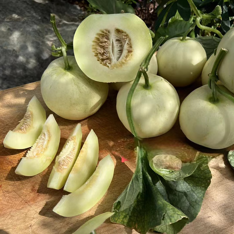秦品堂阎良甜瓜正宗头茬甜瓜源头直供原产地直发脆甜白皮水果 阎良甜瓜4.5-5斤【3-6枚】