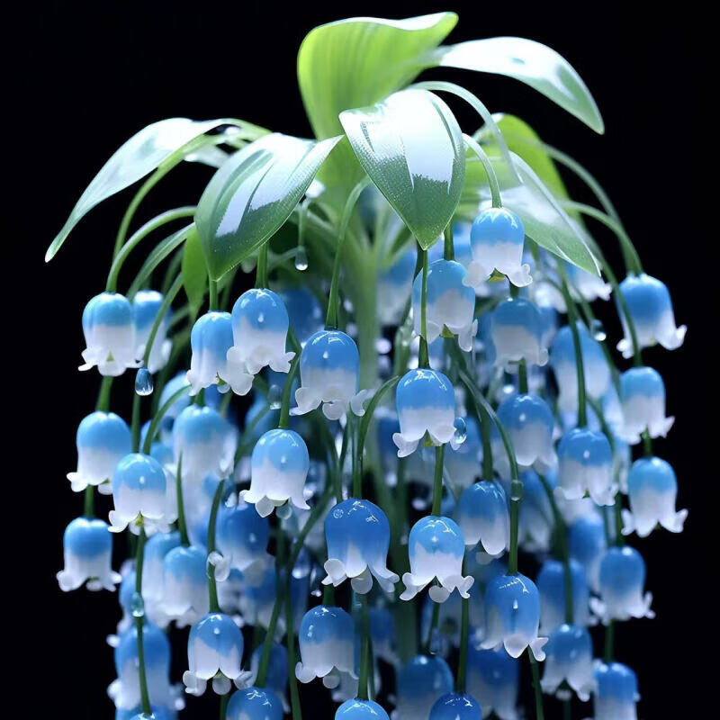 芽带根花苞盆栽耐寒好养植物花卉绿植四季开花 蓝色垂丝铃兰【5棵装】