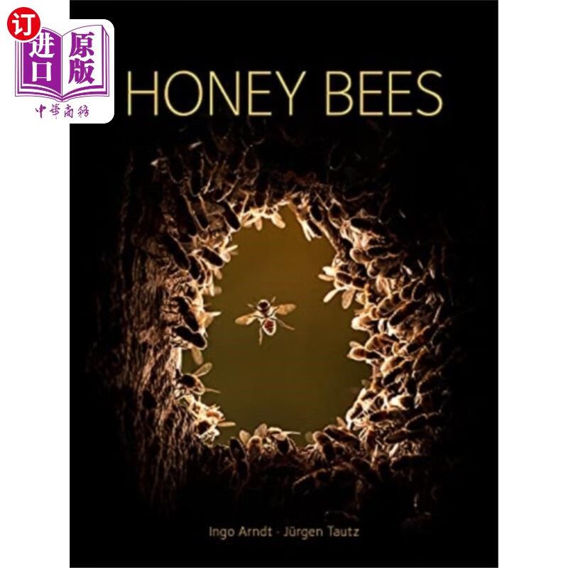 海外直订honey bees 蜜蜂