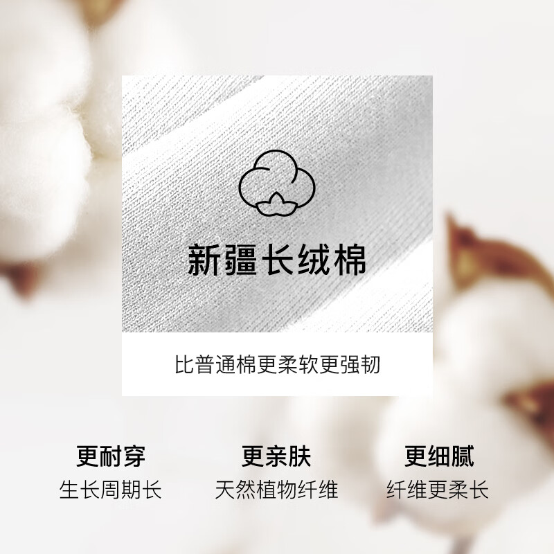 配图2