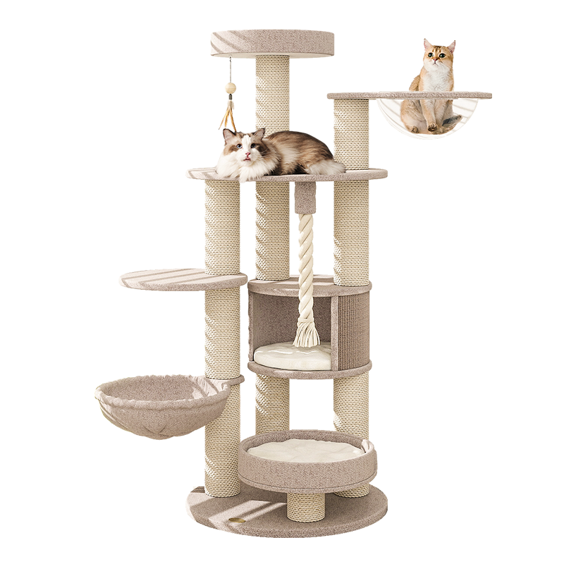 ����ɭ��è���ܴ���è��è��һ���������è��̫�ղ������èů������ ɭ�֡�����