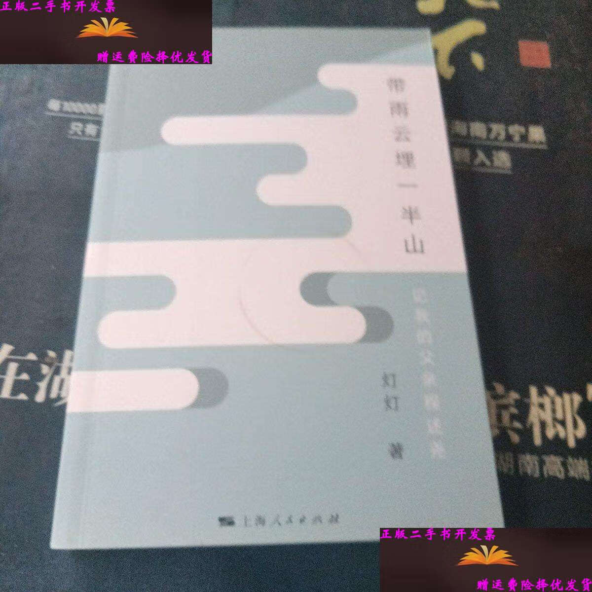 【二手9成新】带雨云埋一半山:记我的父亲程述尧 /灯灯 上海人民