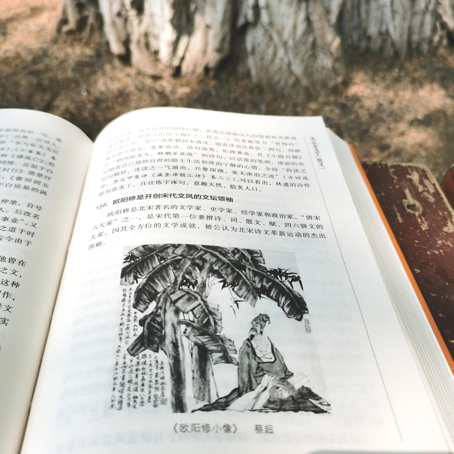 中国古代文学常识“农行APP专属”