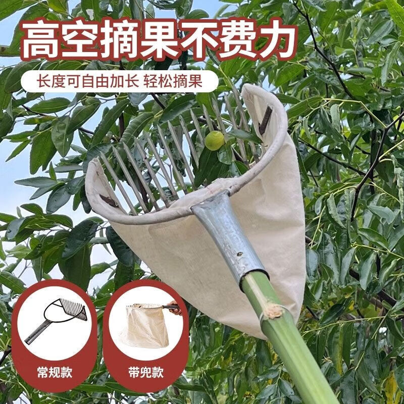 飒望摘酸枣的神器工具【摘果】2024多功能摘酸枣茶子山杏油茶果连翘柏