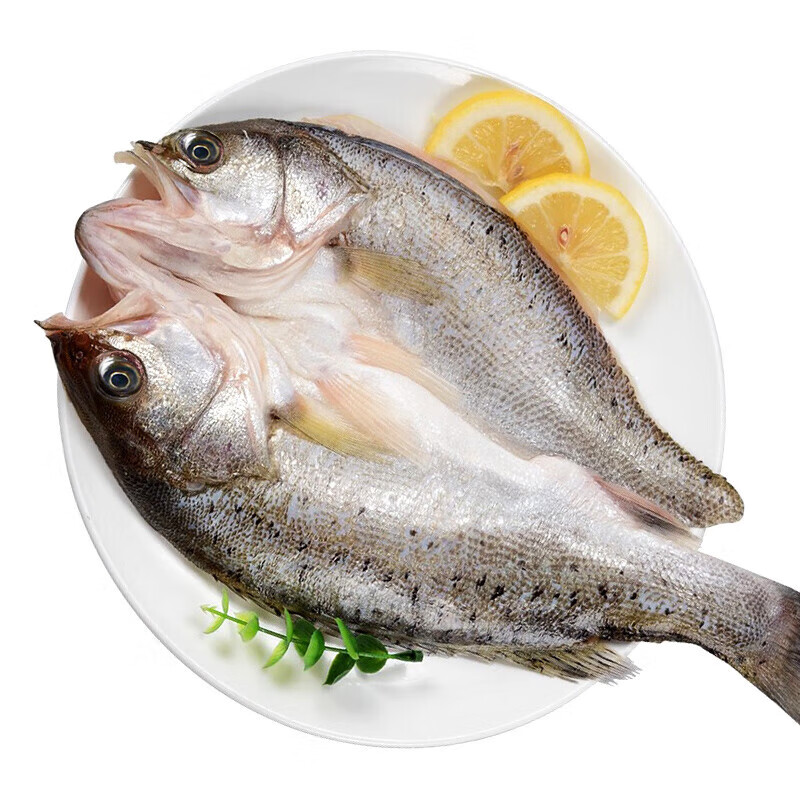 渗鲜三去开背海鲈鱼/河鲈鱼 鲜活冷冻 去鳃去鳞 生鲜鱼类 海鲜水产