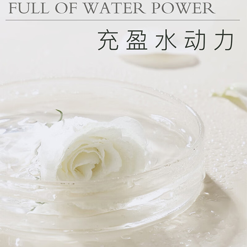 ZRZR保加利亚白玫瑰纯露250ml补水保湿美容天然爽肤水柔肤玫瑰水喷雾 白玫瑰纯露250ml*1瓶