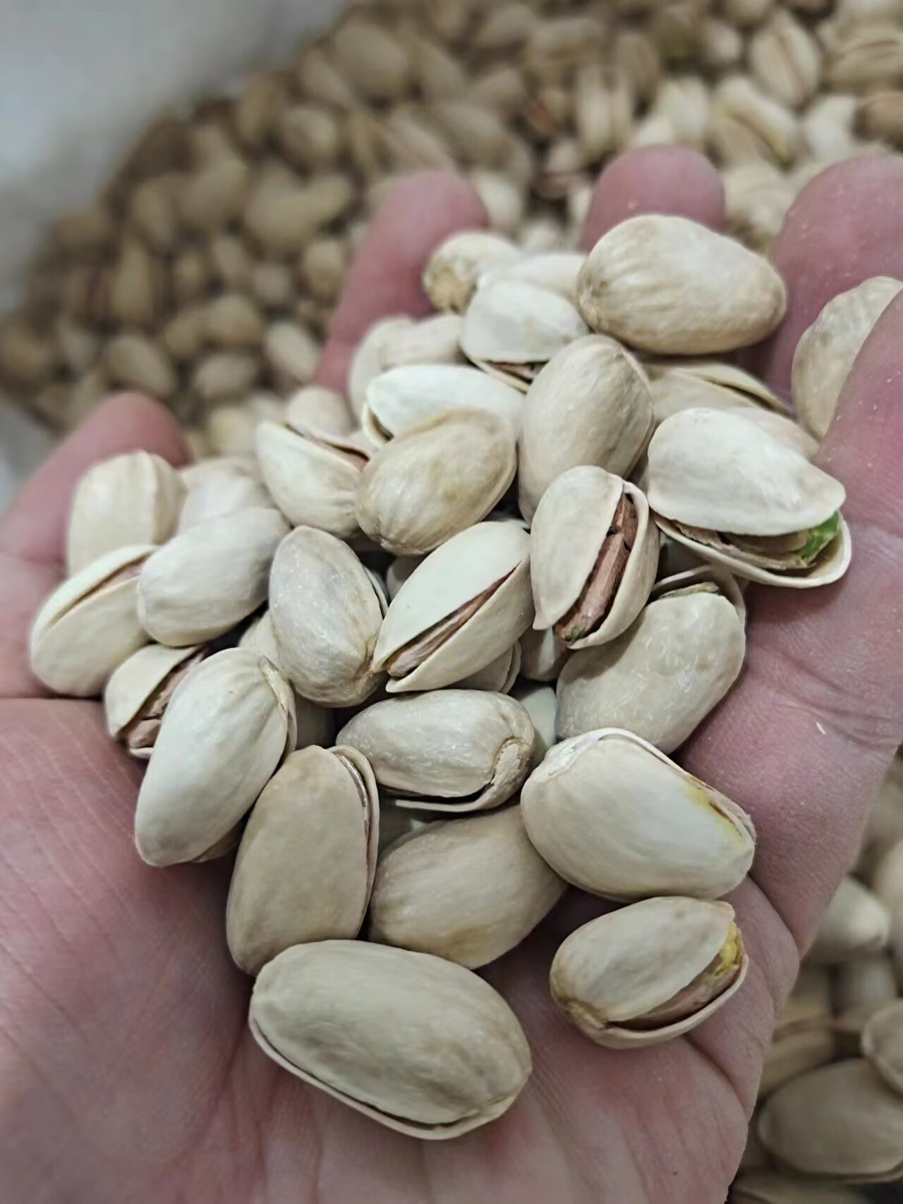 隽颜堂新疆特产原味原色生开心果干开口500克坚果孕妇老人儿童休闲