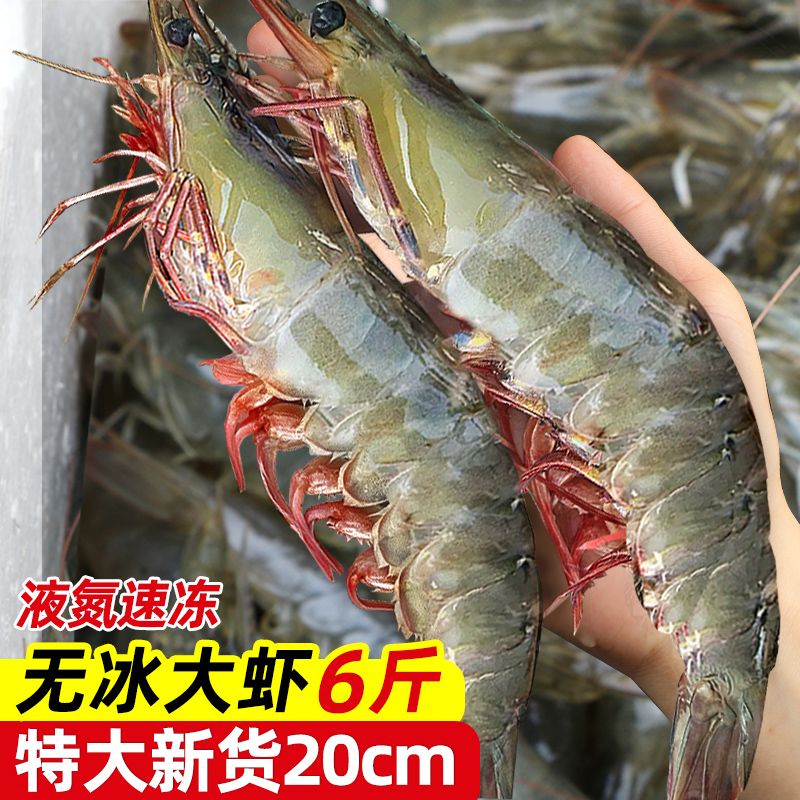 東上御品青島大蝦無(wú)冰新鮮特大號液氮氮氣海蝦氣凍基圍蝦一箱白蝦 1500g 12-15cm