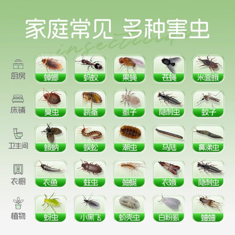 ZYUO日本驱虫药除虫小飞虫爬虫克星神器灭蟑螂全窝端杀虫剂室内家用 5盒装【囤货钜惠装】母婴可用 室内神器 蚊虫克星