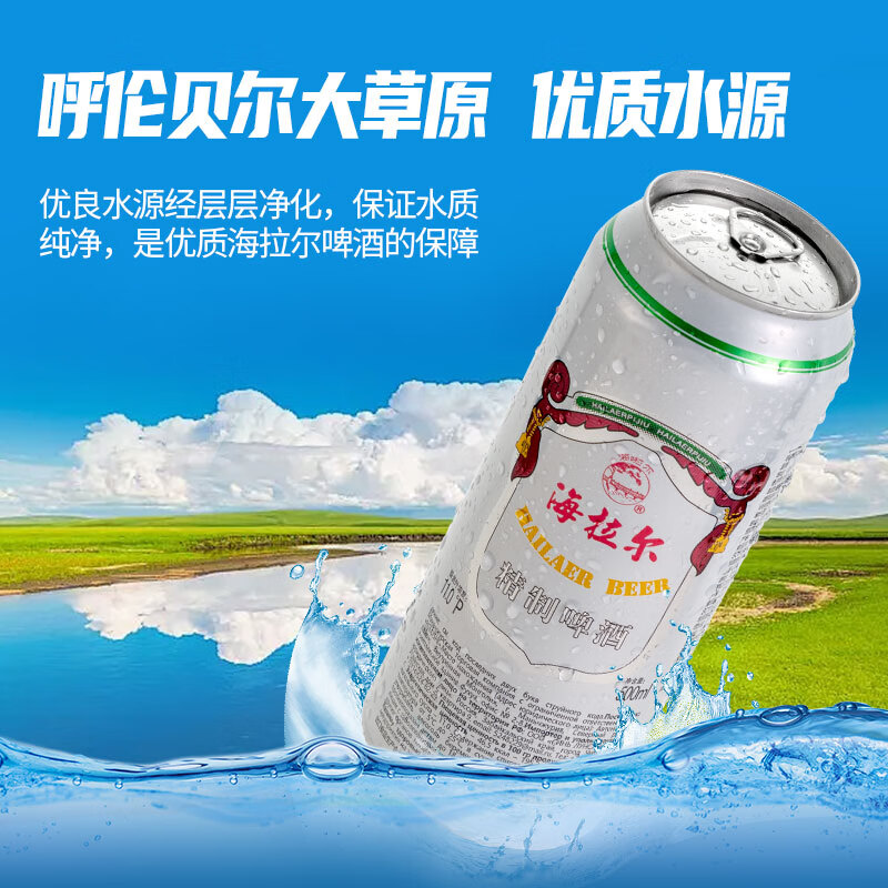 雪花啤酒 海拉尔啤酒精制11度醇厚型啤酒 500mL 12罐 整箱装 到期日5月