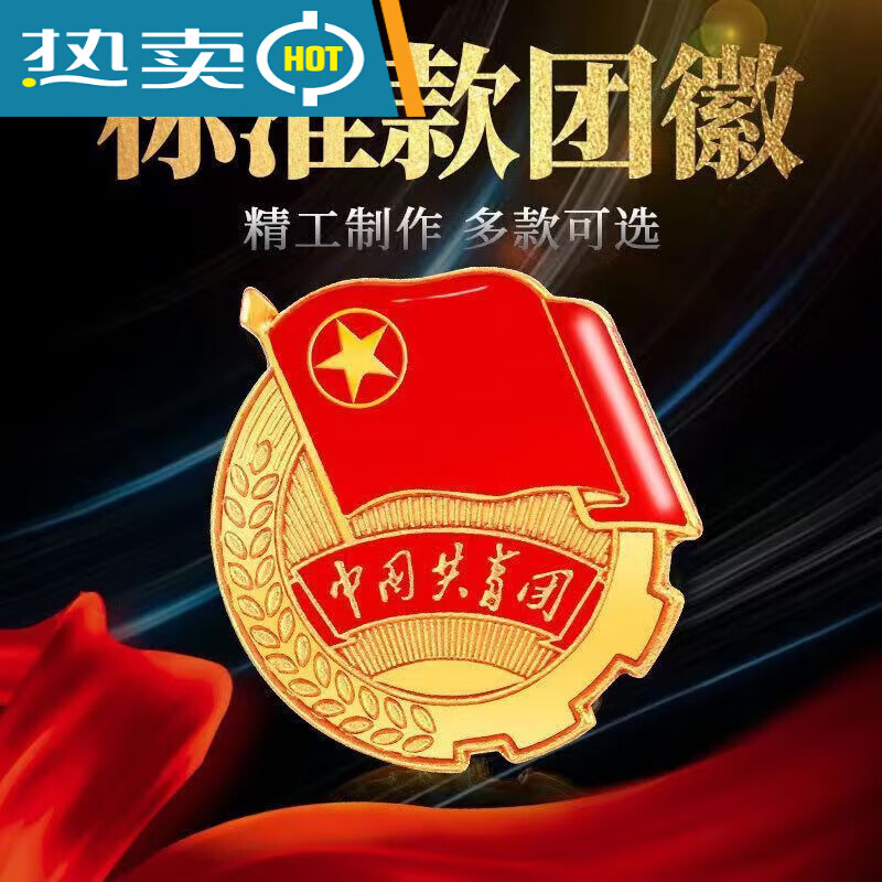 标准型中国共青团团徽团员徽章监制学生胸针别针磁铁新版 1o个别针款