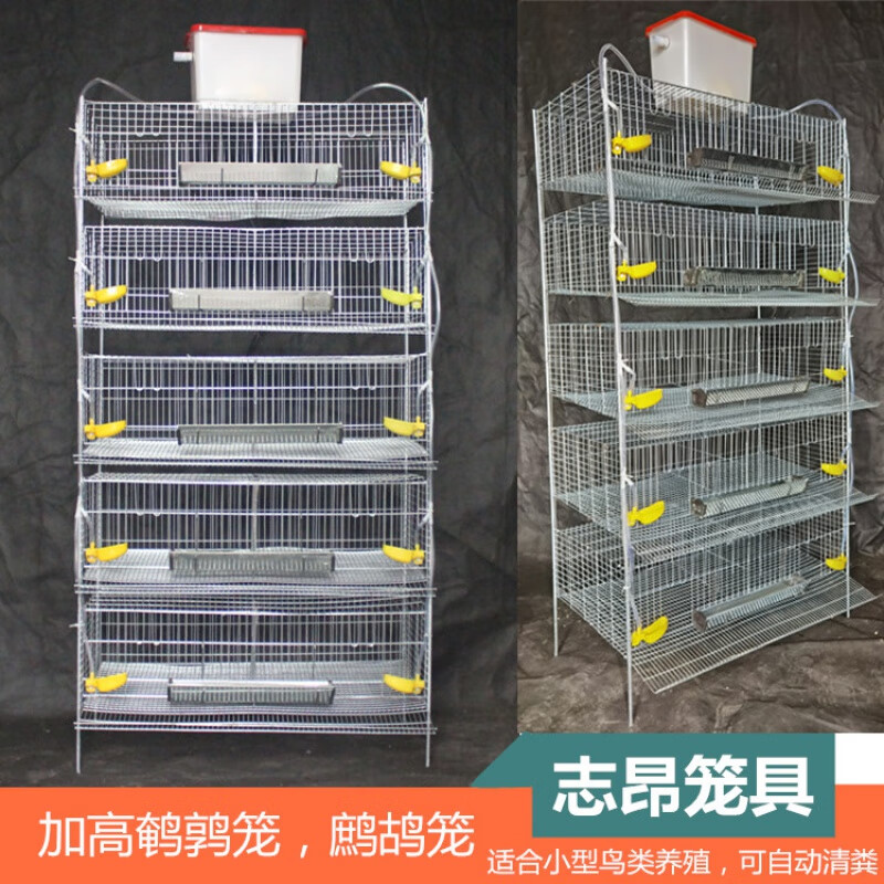姒桀鹌鹑笼鹧鸪笼加高25cm层高立式鹌鹑笼鹧鸪笼可自动清粪多层养殖笼