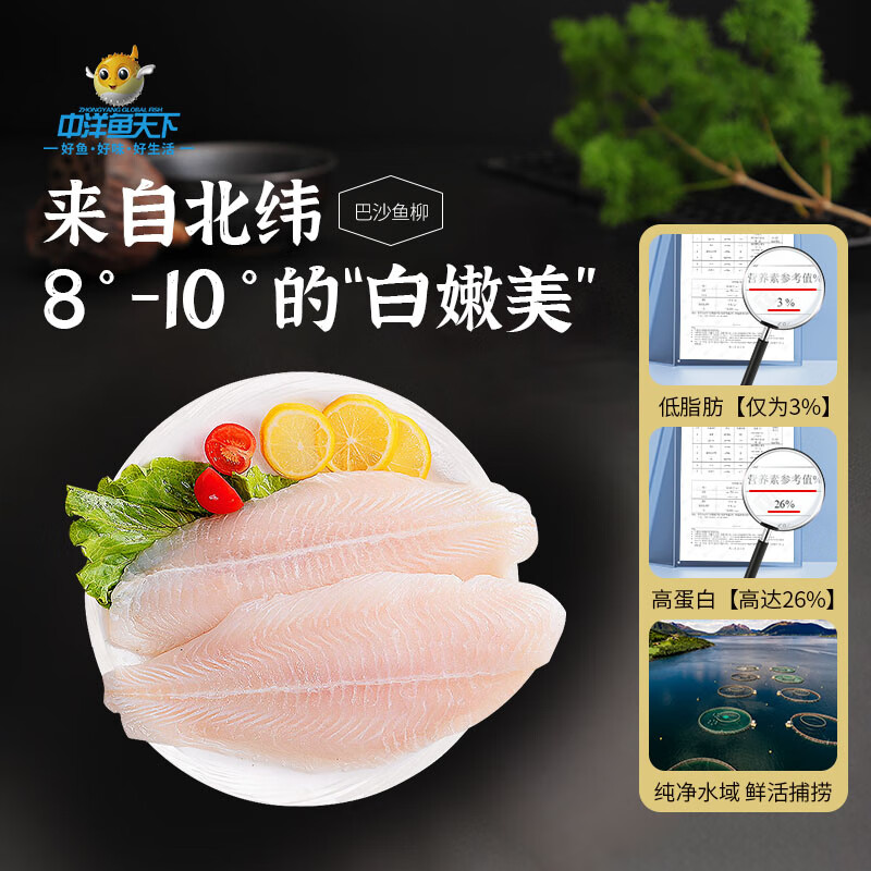 中洋鱼天下 冷冻去皮巴沙鱼柳 600g （2-3片） 生鲜 