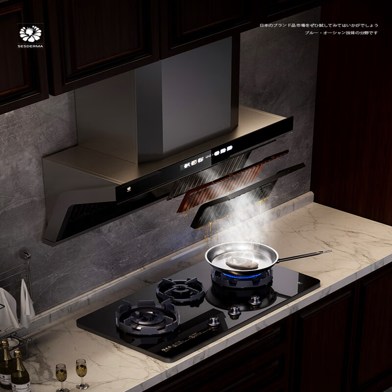 SESDERMA(赛斯德玛)日本新款抽油烟机大吸力家用体感顶侧双吸式自动清洗油烟分离排烟 C919变频大吸力