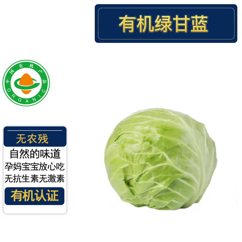 有机绿甘蓝5斤 有机认证无农残 新鲜蔬菜美味健康辅食沙拉顺丰 5斤有机绿甘蓝