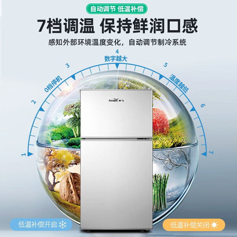新飞（Frestec）小冰箱迷你小型双门家用 宿舍出租房办公室冷藏冷冻电冰箱节能省电 一级能效-38升银 【省电轻音】