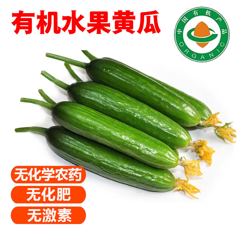 【順豐】有機(jī)水果黃瓜 荷蘭小黃瓜健康無(wú)農(nóng)殘有機(jī)水果蔬菜 5斤