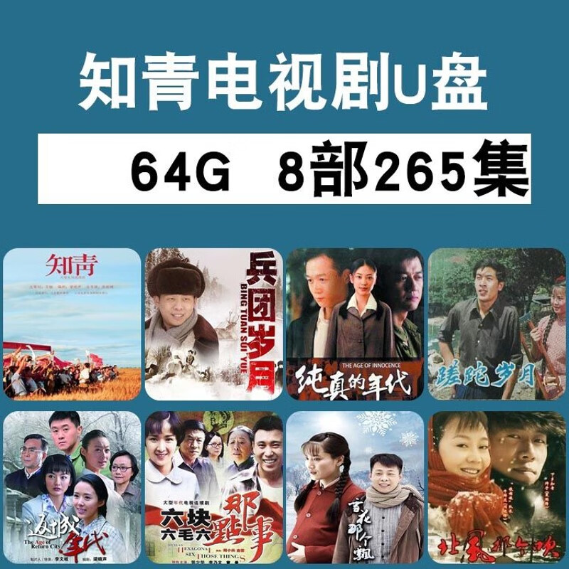 64g-知青电视剧8部265集 64gb 标准