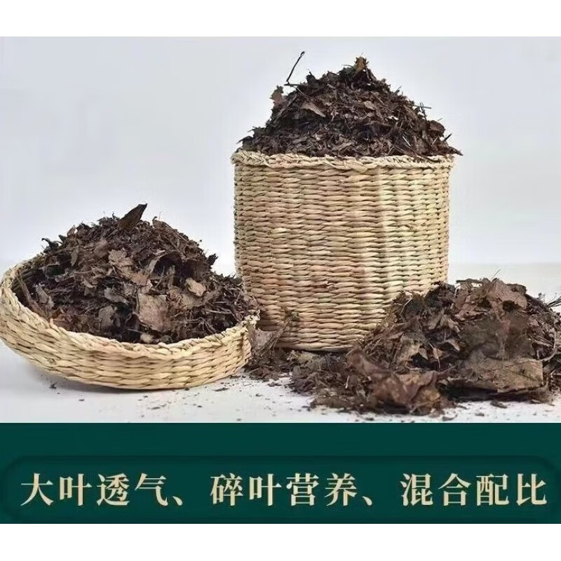 土纯橡树叶君子兰腐叶土腐熟纯松针兰花营养腐叶土 5斤无土腐熟橡树叶