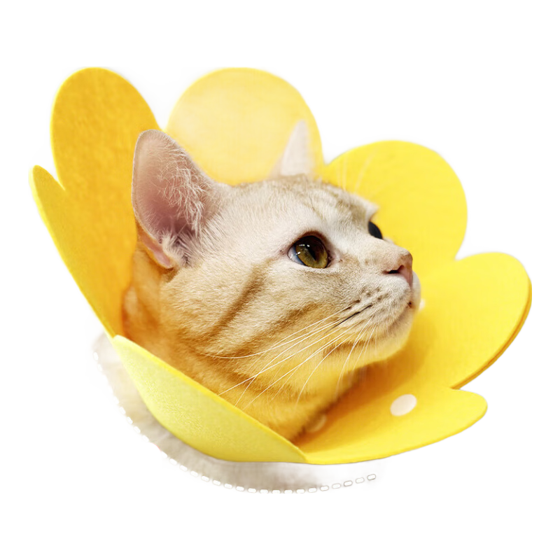 ����ɯ��Ȧè�������Ȧ�ᱡëձͷ������ָ�����ɵ�����Ȧ ���ɫ L�루6-10� 3.99Ԫ