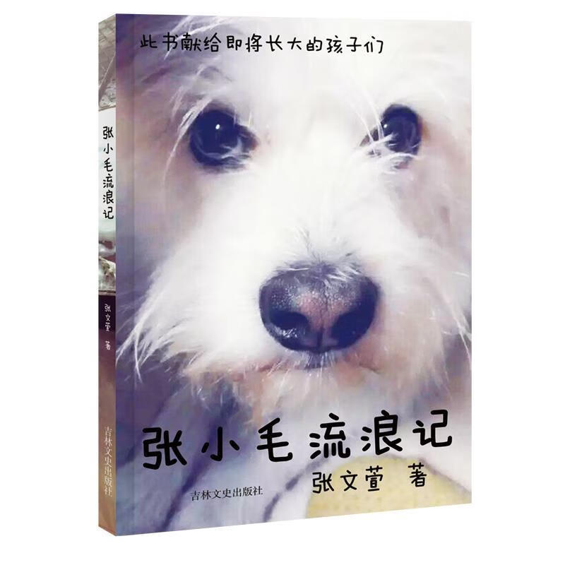 张小毛流浪记 张文萱