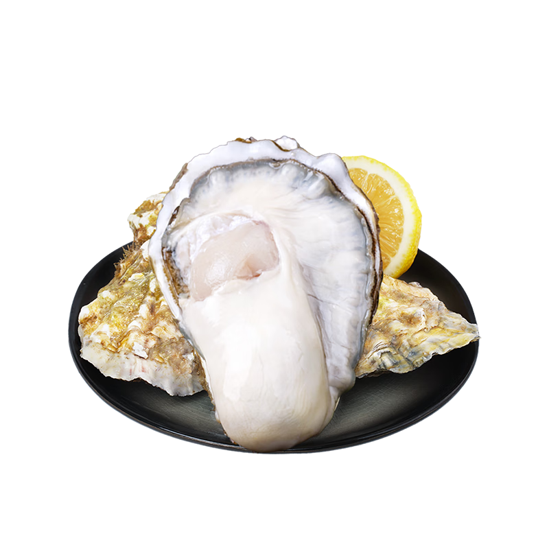 ڲ˾ ʻɽ̬3XL 4 10-15ֻ Դͷֱ 61.6Ԫ