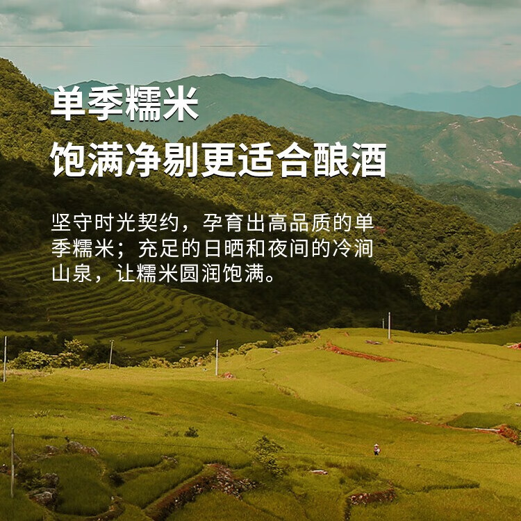 酒狐3瓶装酒狐鲜榨米酒桂花米酒龙岩客农家黄酒客家米酒老酒 350mL 3瓶 单瓶装