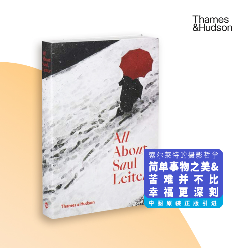 All about Saul Leiter 所有关于索尔·雷特 摄影集 英文原版【中图原版进口】莱特