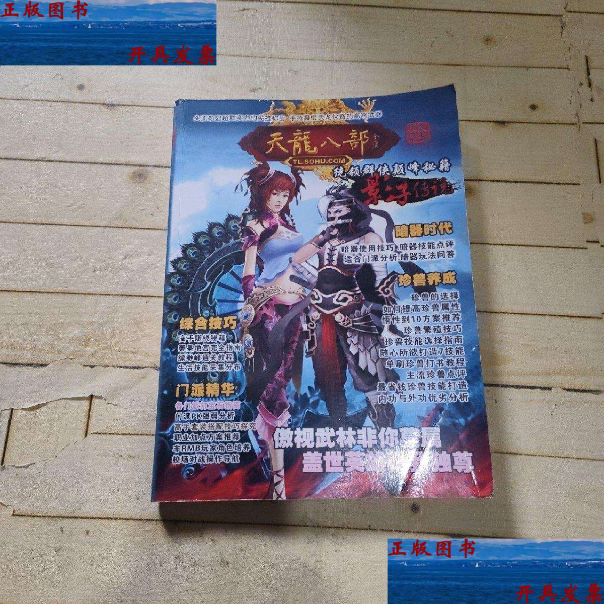 【二手9成新】天龙八部 (影子传说)统领群侠颠峰秘籍 /不详 不详