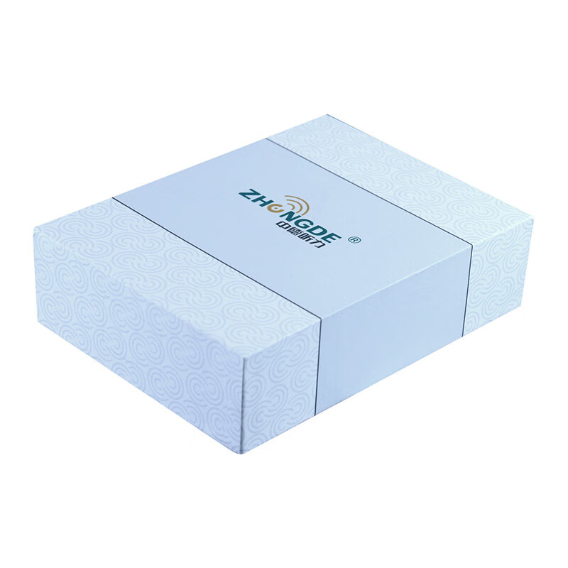 中德（ZhongDe） ZDB-100助听器 耳背式无线充电助听器 老年人助听机