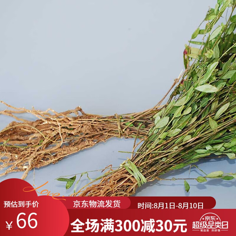 味巴哥贵州来马回 野生瓜子金草干品辰砂草二月花惊风草中草250克