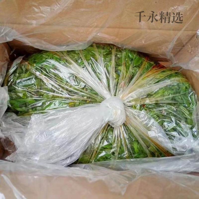 紅允海白菜整箱10斤裝香辣醬菜即食下飯海裙帶菜4斤散裝咸菜商用 帶箱10斤裝(凈重9斤)