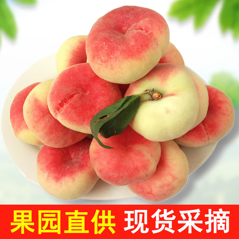 綠養(yǎng)道【順豐快遞】北京平谷蟠桃鮮桃大桃子新鮮采摘新鮮水果 蟠桃5斤
