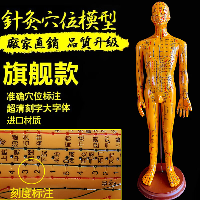 人体模型人十二经络扎针小铜人全身图 数字刻度定位超清55厘米铜男