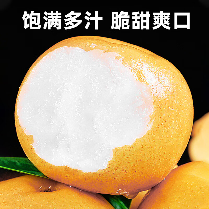 京橙美锦山东莱阳秋月梨新鲜水果梨子当季水果皮薄超甜雪梨特产礼物整箱 净重5斤果王【约5-7枚】