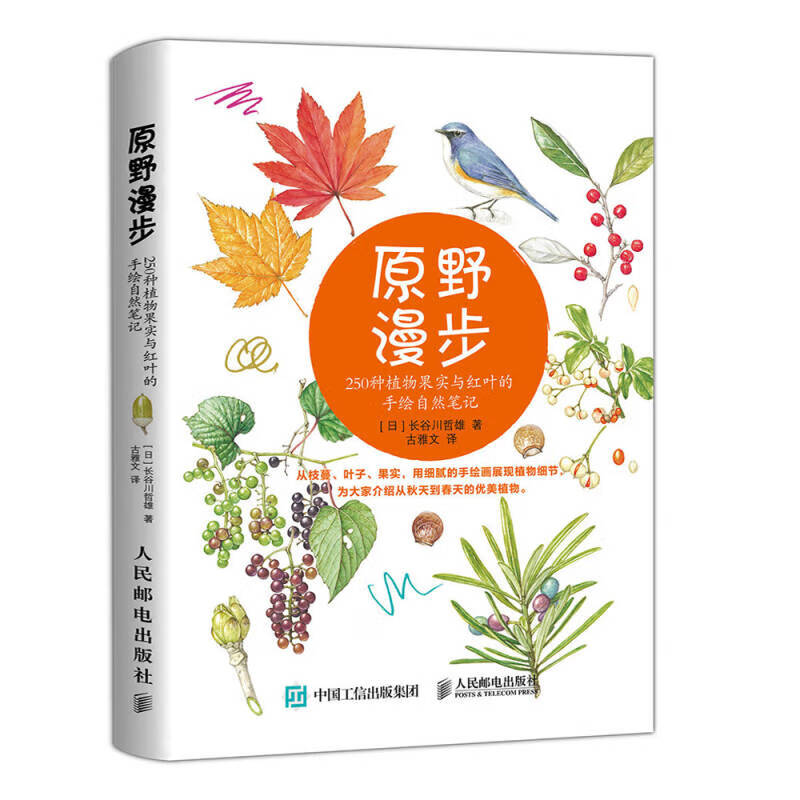原野漫步 250种植物果实与红叶的手绘自然笔记