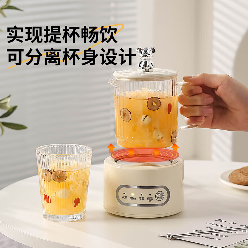 爱宁办公室一人玻璃壶养生壶迷你煮茶壶煮茶器养生杯小型电炖杯高颜值